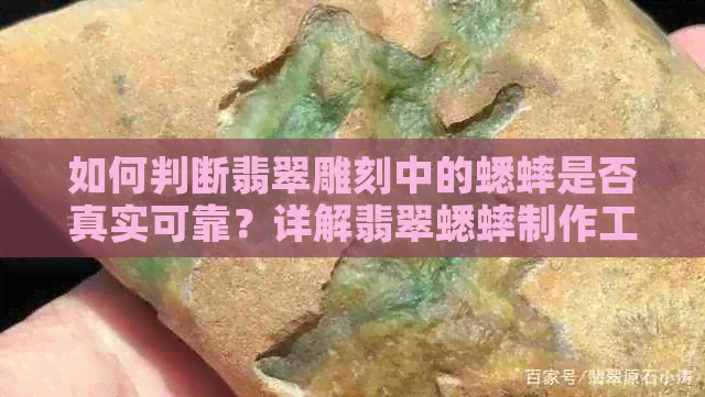 如何判断翡翠雕刻中的蟋蟀是否真实可靠？详解翡翠蟋蟀制作工艺及鉴别方法