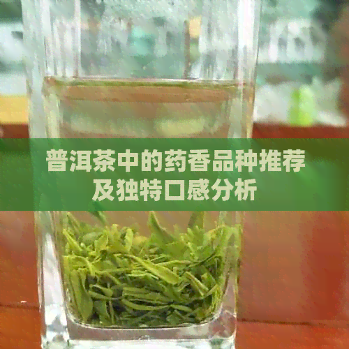 普洱茶中的药香品种推荐及独特口感分析