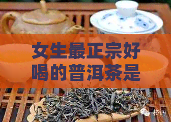 女生最正宗好喝的普洱茶是什么？