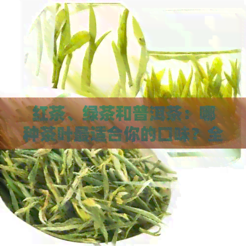 红茶、绿茶和普洱茶：哪种茶叶最适合你的口味？全面比较与解析