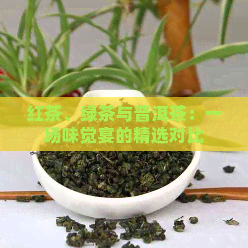 红茶、绿茶与普洱茶：一场味觉宴的精选对比