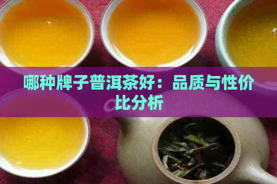 哪种牌子普洱茶好：品质与性价比分析