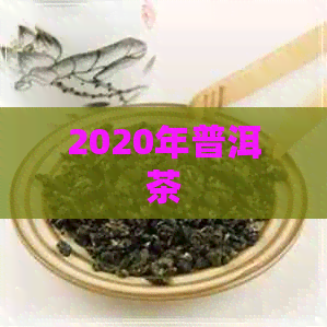 2020年普洱茶