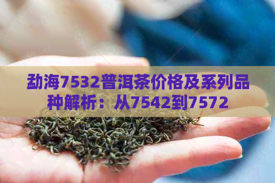 勐海7532普洱茶价格及系列品种解析：从7542到7572