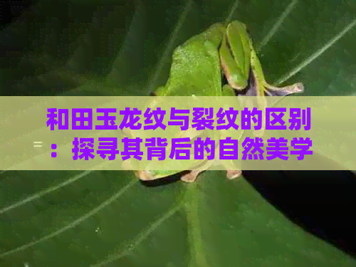 和田玉龙纹与裂纹的区别：探寻其背后的自然美学