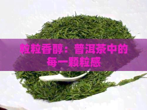 粒粒香醇：普洱茶中的每一颗粒感