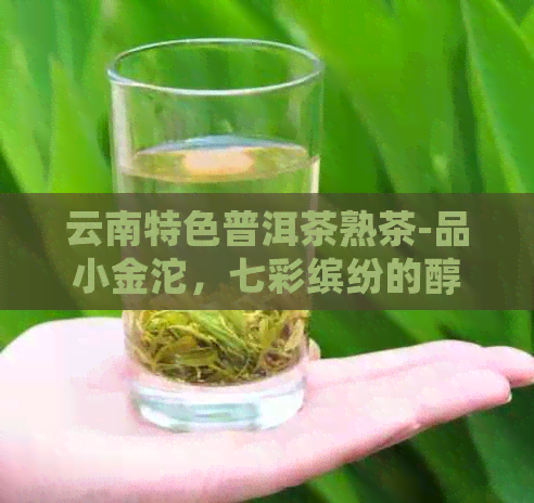 云南特色普洱茶熟茶-品小金沱，七彩缤纷的醇厚口感