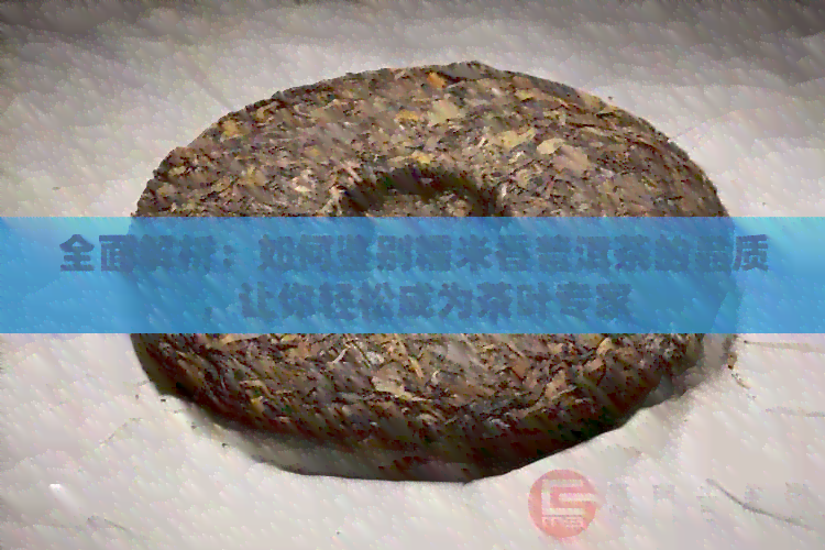 全面解析：如何鉴别糯米香普洱茶的品质，让你轻松成为茶叶专家