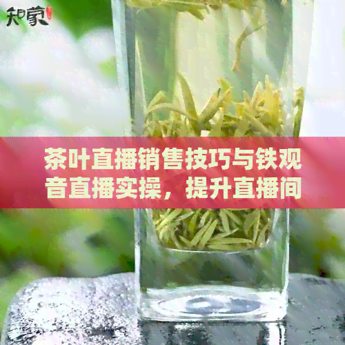 茶叶直播销售技巧与铁观音直播实操，提升直播间吸引力，打造高效营销