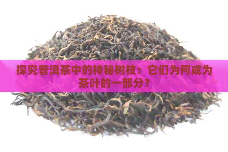 探究普洱茶中的神秘树枝：它们为何成为茶叶的一部分？