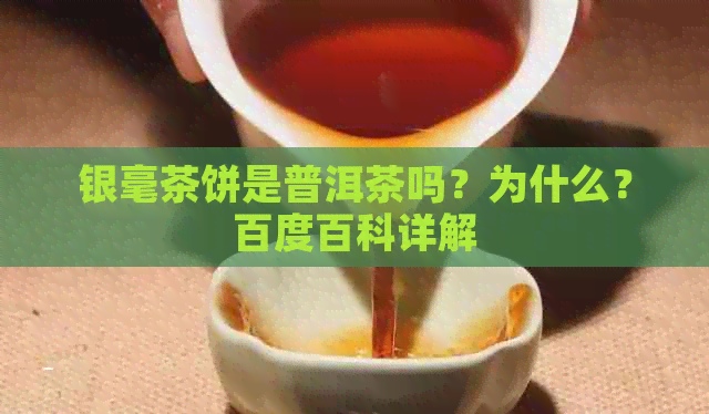 银毫茶饼是普洱茶吗？为什么？百度百科详解