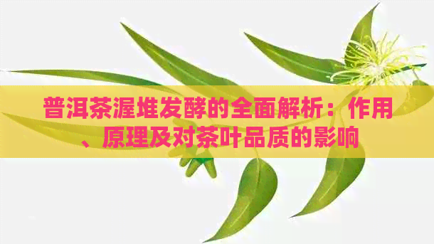 普洱茶渥堆发酵的全面解析：作用、原理及对茶叶品质的影响