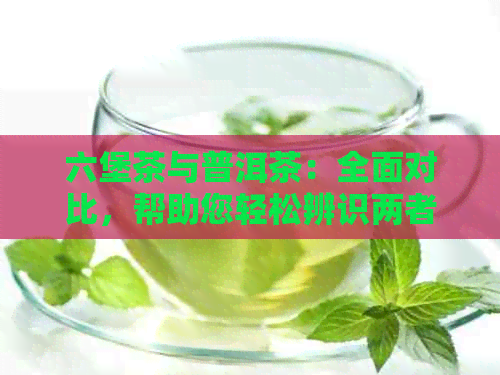 六堡茶与普洱茶：全面对比，帮助您轻松辨识两者差异与特点