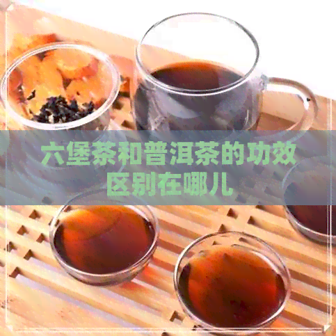 六堡茶和普洱茶的功效区别在哪儿