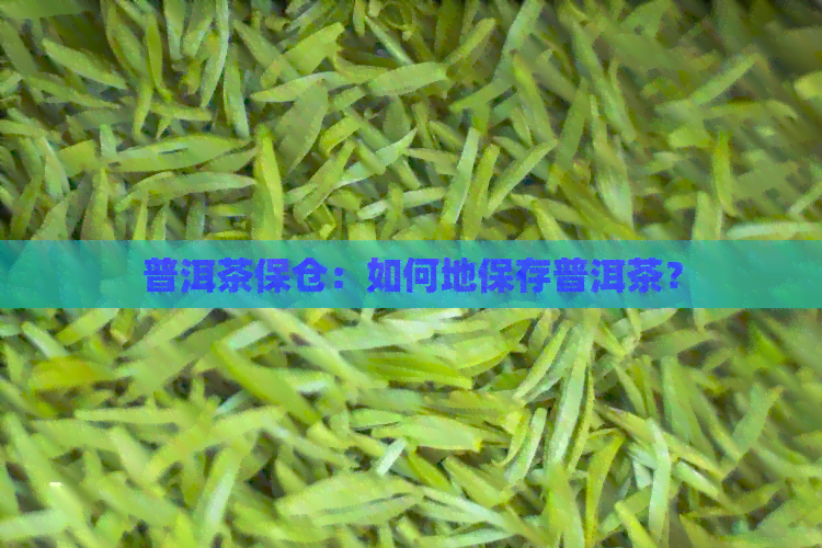 普洱茶保仓：如何地保存普洱茶？