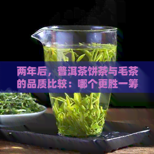 两年后，普洱茶饼茶与毛茶的品质比较：哪个更胜一筹？