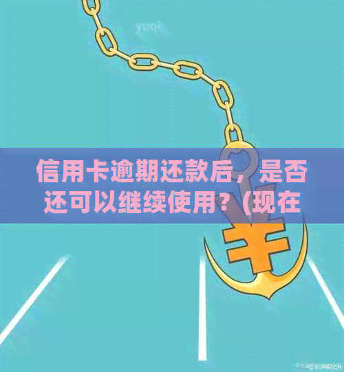 信用卡逾期还款后，是否还可以继续使用？(现在的关键解答)