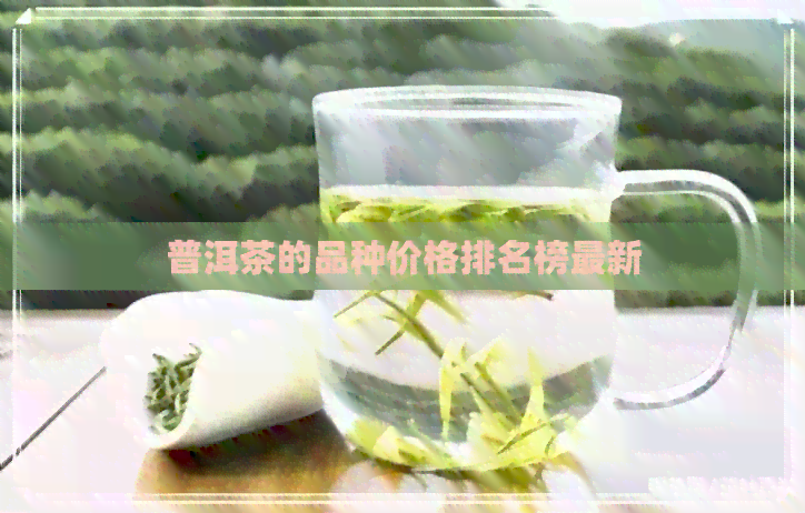 普洱茶的品种价格排名榜最新