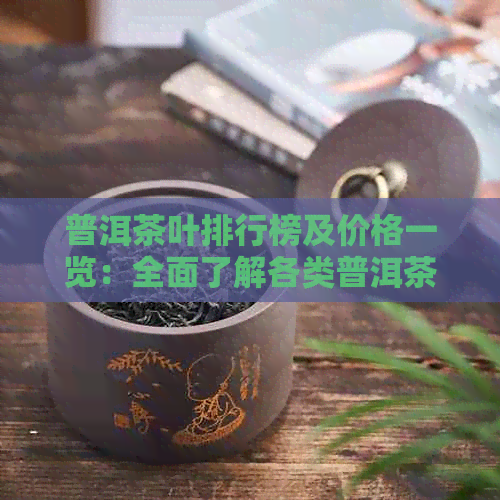 普洱茶叶排行榜及价格一览：全面了解各类普洱茶的特点和市场价