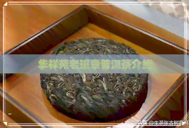 华祥苑老班章普洱茶介绍