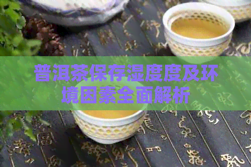 普洱茶保存湿度度及环境因素全面解析