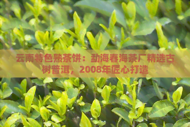 云南特色熟茶饼：勐海春海茶厂精选古树普洱，2008年匠心打造