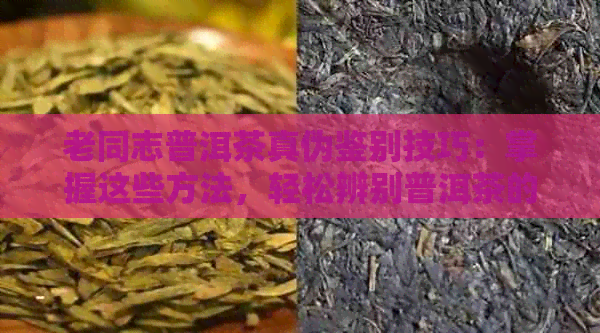 老同志普洱茶真伪鉴别技巧：掌握这些方法，轻松辨别普洱茶的真假