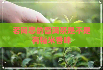 老同志的普洱茶是不是有糯米香味