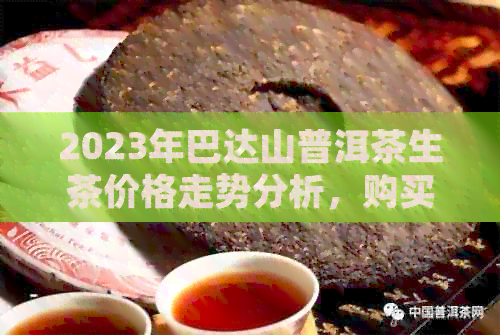 2023年巴达山普洱茶生茶价格走势分析，购买指南与口感评价一应俱全