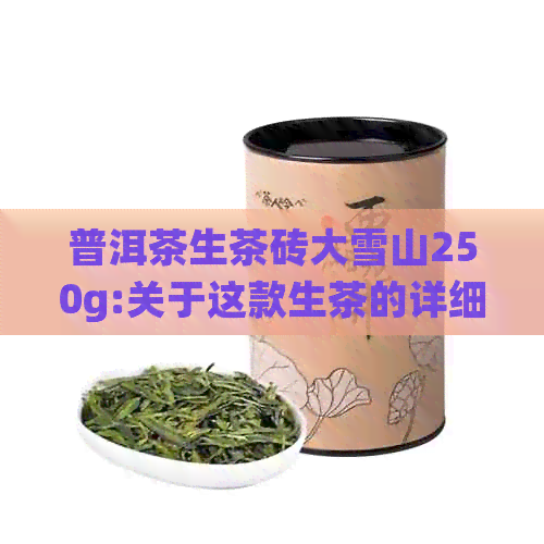 普洱茶生茶砖大雪山250g:关于这款生茶的详细介绍与评价