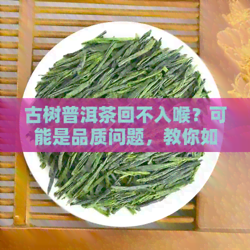 古树普洱茶回不入喉？可能是品质问题，教你如何辨别真伪