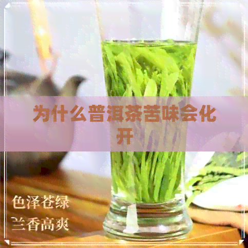 为什么普洱茶苦味会化开