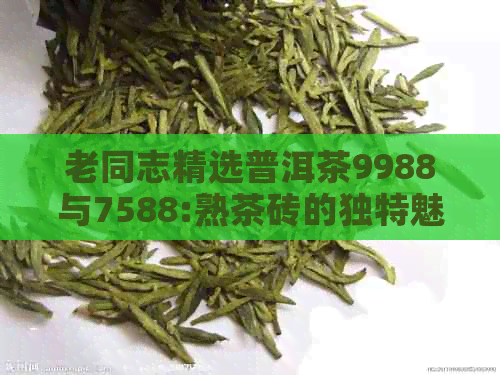 老同志精选普洱茶9988与7588:熟茶砖的独特魅力与价格对比