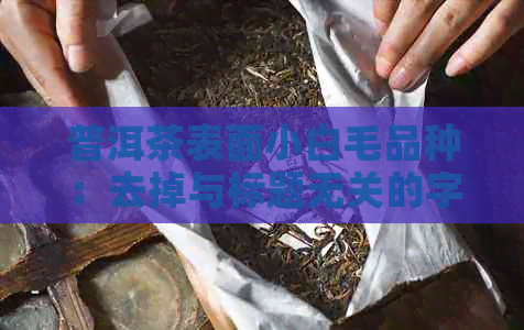 普洱茶表面小白毛品种：去掉与标题无关的字