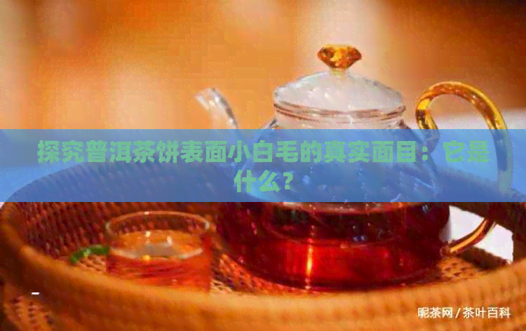 探究普洱茶饼表面小白毛的真实面目：它是什么？