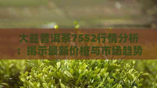 大益普洱茶7552行情分析：揭示最新价格与市场趋势