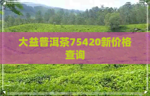 大益普洱茶75420新价格查询