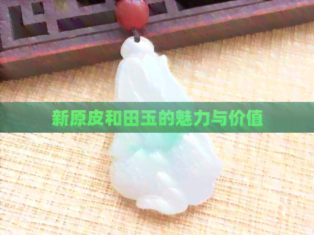 新原皮和田玉的魅力与价值