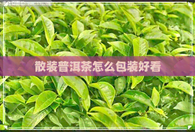 散装普洱茶怎么包装好看