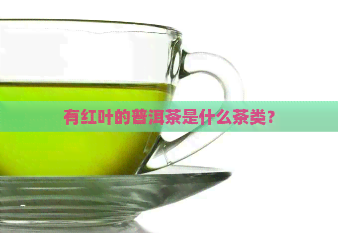 有红叶的普洱茶是什么茶类？