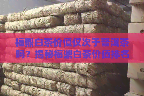 福鼎白茶价值仅次于普洱茶吗？揭秘福鼎白茶价值排名与市场现状