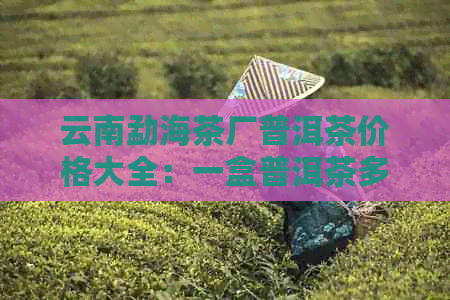 云南勐海茶厂普洱茶价格大全：一盒普洱茶多少钱？如何选择合适的价格区间？