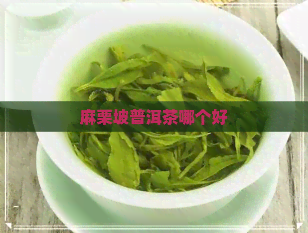 麻栗坡普洱茶哪个好