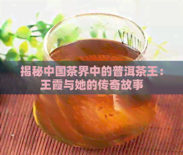 揭秘中国茶界中的普洱茶王：王霞与她的传奇故事