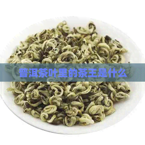 普洱茶叶里的茶王是什么