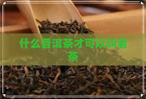 什么普洱茶才可以叫老茶