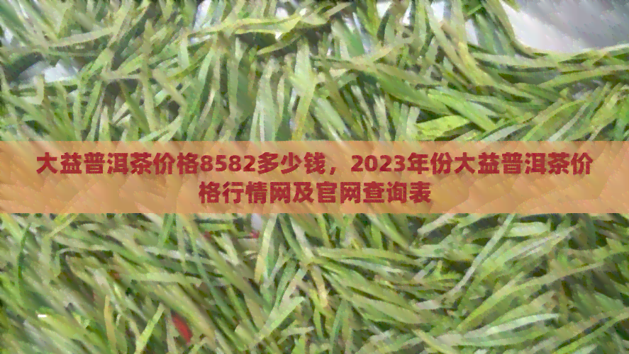 大益普洱茶价格8582多少钱，2023年份大益普洱茶价格行情网及官网查询表