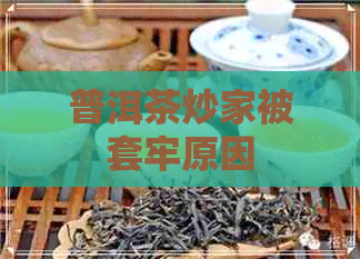 普洱茶炒家被套牢原因