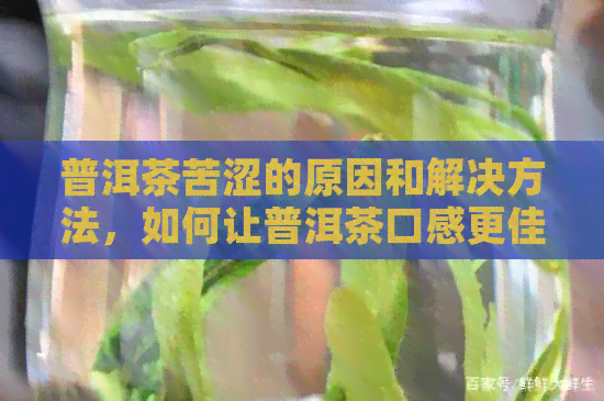 普洱茶苦涩的原因和解决方法，如何让普洱茶口感更佳？