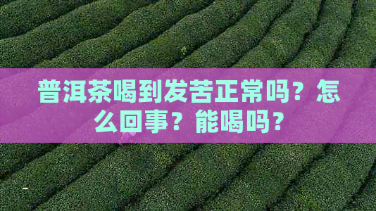 普洱茶喝到发苦正常吗？怎么回事？能喝吗？